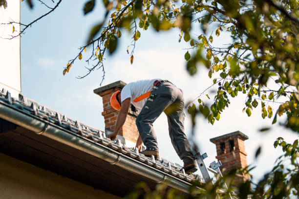Best Gutter Installation and Repair  in Mount Hermon, VA