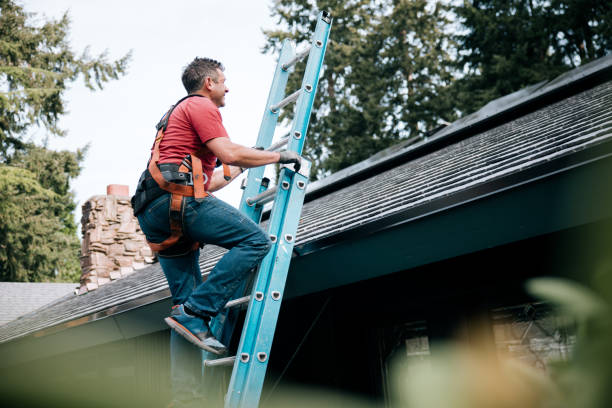 Best Roof Moss and Algae Removal  in Mount Hermon, VA